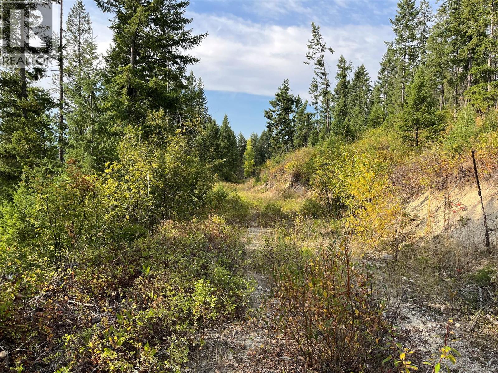 842 Almberg Road Unit# Remainder Lot# Lot, Golden, British Columbia  V0A 1H0 - Photo 23 - 10363605