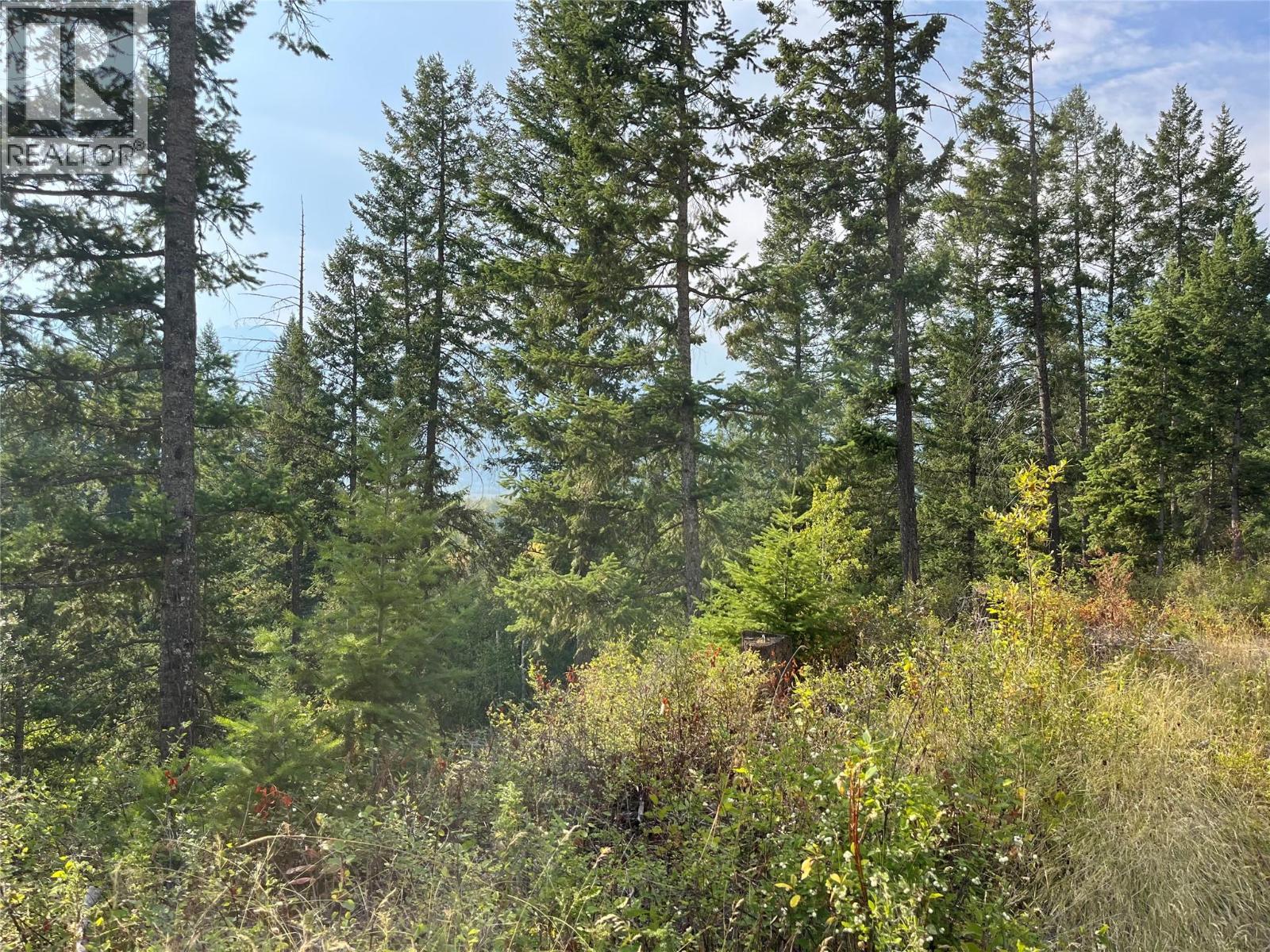 842 Almberg Road Unit# Remainder Lot# Lot, Golden, British Columbia  V0A 1H0 - Photo 24 - 10363605