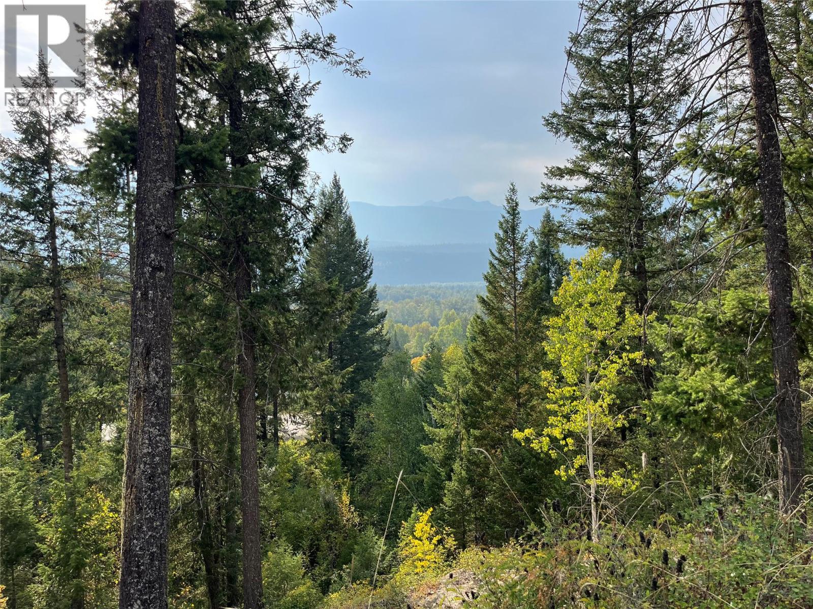 842 Almberg Road Unit# Remainder Lot# Lot, Golden, British Columbia  V0A 1H0 - Photo 25 - 10363605