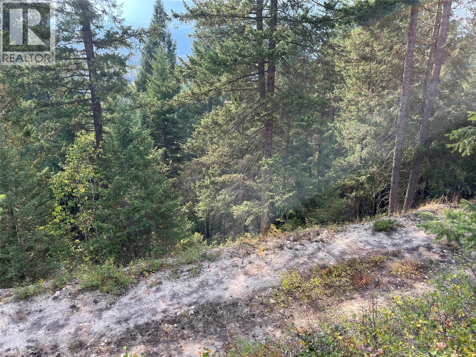 842 Almberg Road Unit# Remainder Lot# Lot, Golden, British Columbia  V0A 1H0 - Photo 26 - 10363605