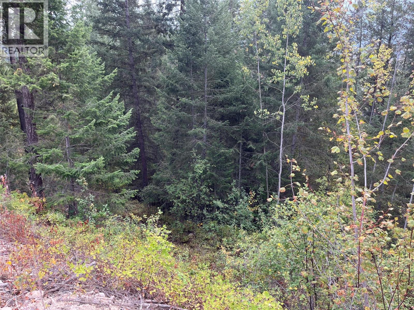 842 Almberg Road Unit# Remainder Lot# Lot, Golden, British Columbia  V0A 1H0 - Photo 27 - 10363605