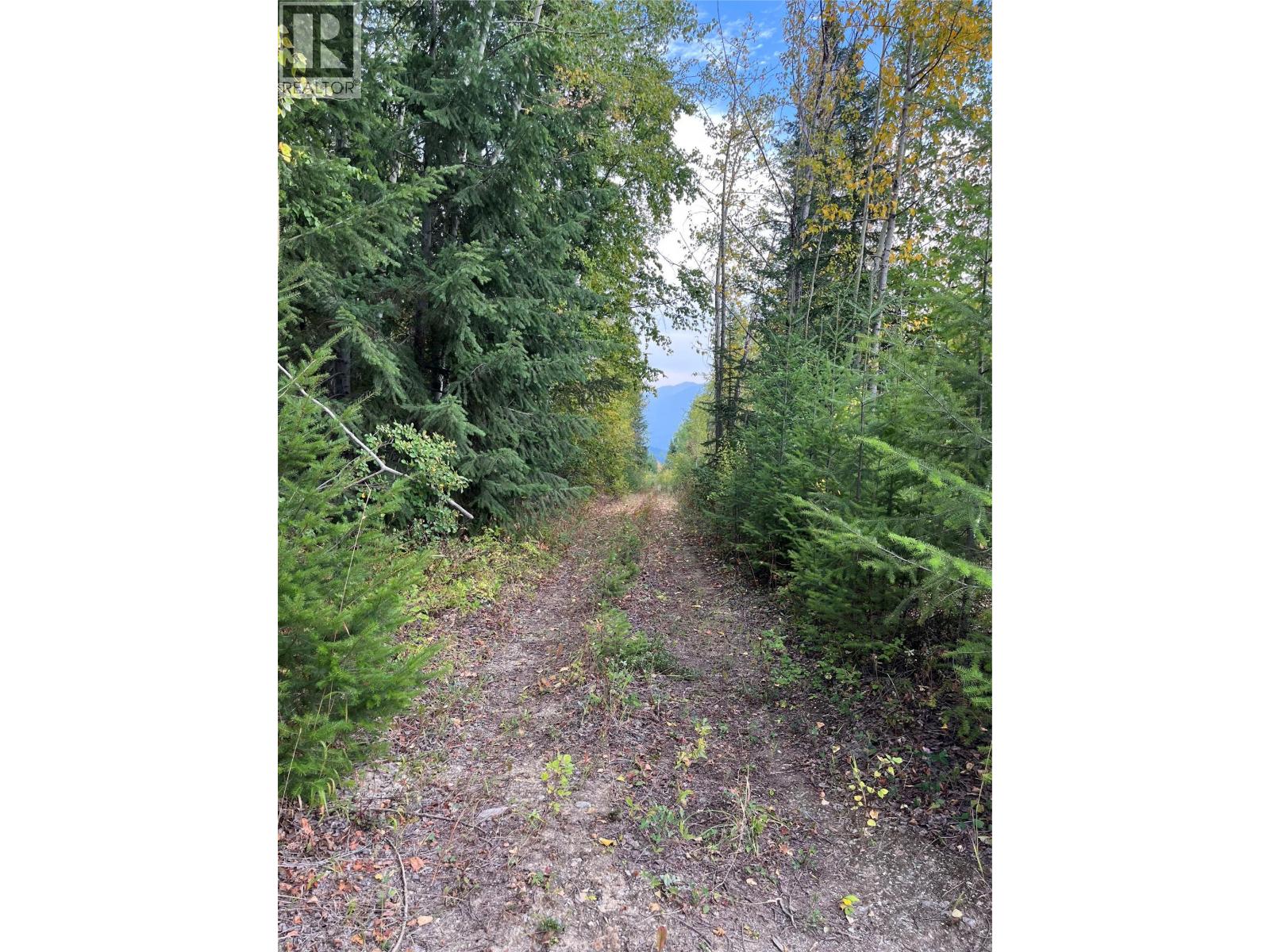 842 Almberg Road Unit# Remainder Lot# Lot, Golden, British Columbia  V0A 1H0 - Photo 28 - 10363605