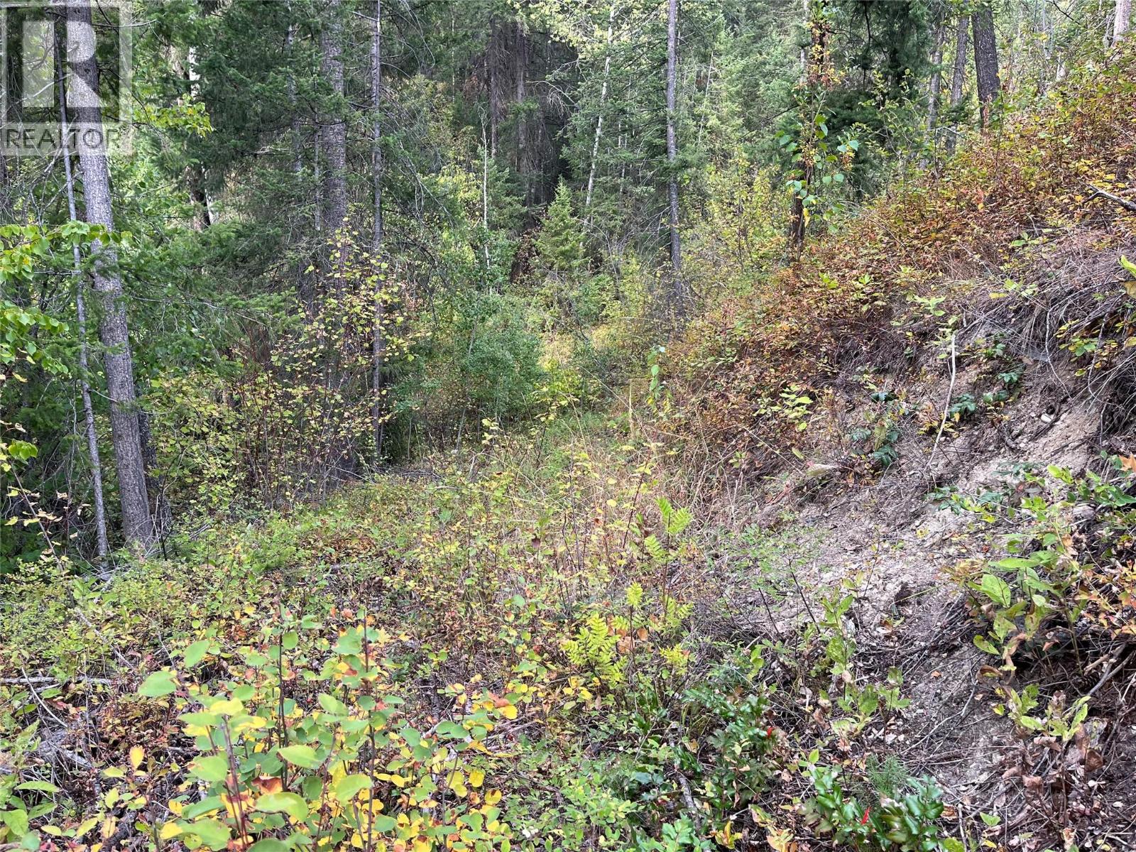 842 Almberg Road Unit# Remainder Lot# Lot, Golden, British Columbia  V0A 1H0 - Photo 3 - 10363605