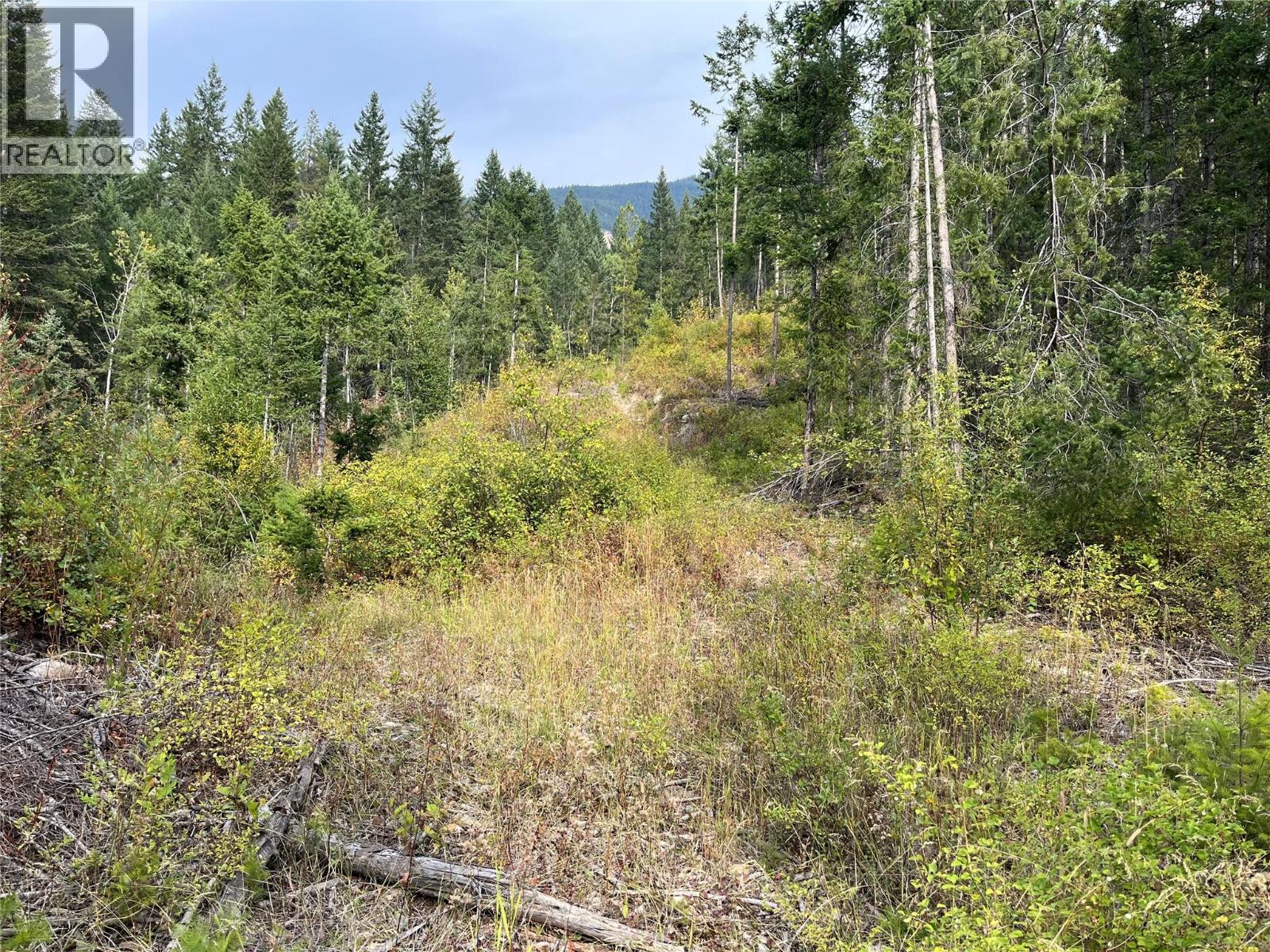 842 Almberg Road Unit# Remainder Lot# Lot, Golden, British Columbia  V0A 1H0 - Photo 4 - 10363605