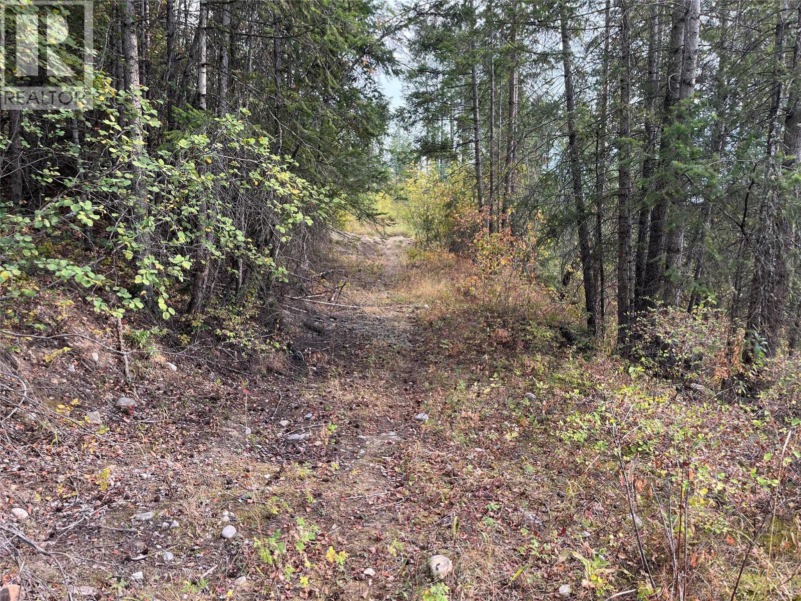 842 Almberg Road Unit# Remainder Lot# Lot, Golden, British Columbia  V0A 1H0 - Photo 5 - 10363605