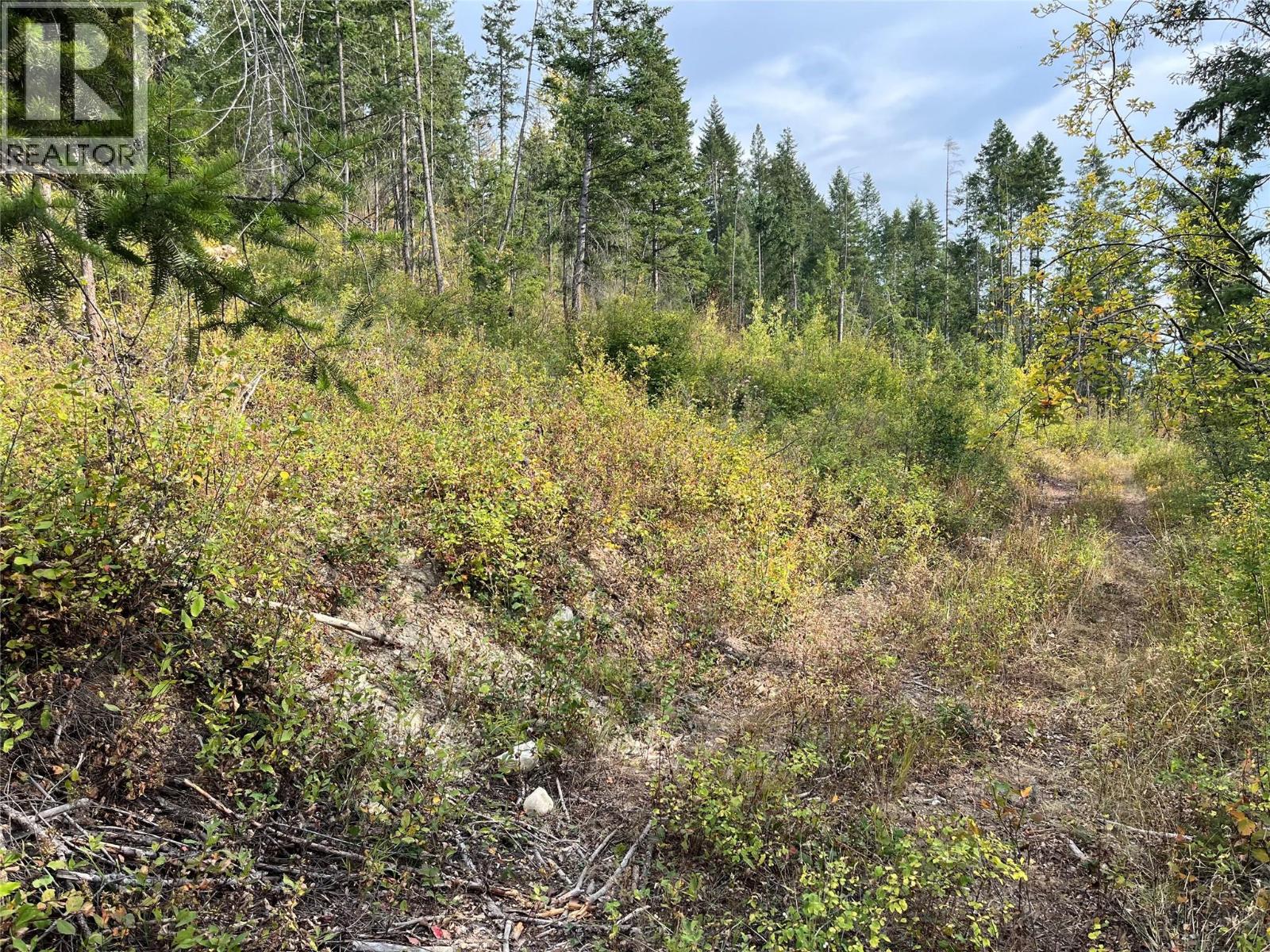 842 Almberg Road Unit# Remainder Lot# Lot, Golden, British Columbia  V0A 1H0 - Photo 7 - 10363605