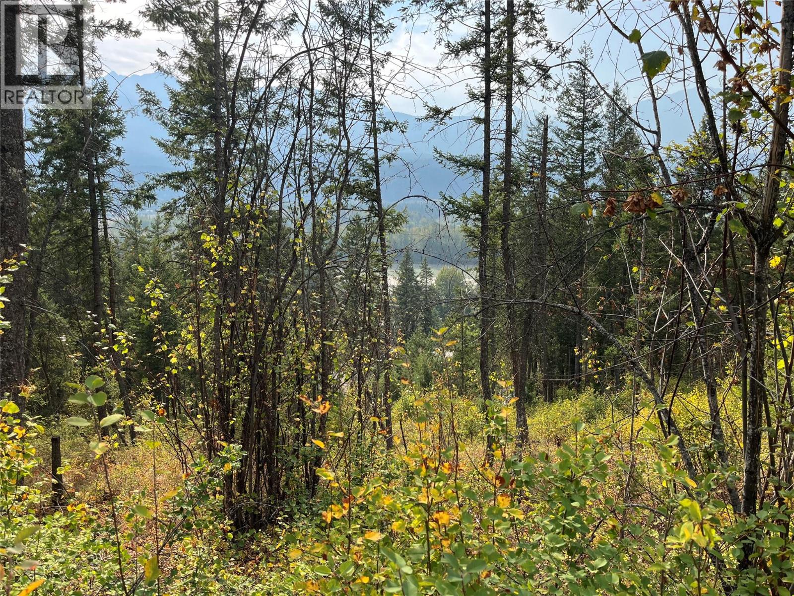 842 Almberg Road Unit# Remainder Lot# Lot, Golden, British Columbia  V0A 1H0 - Photo 8 - 10363605