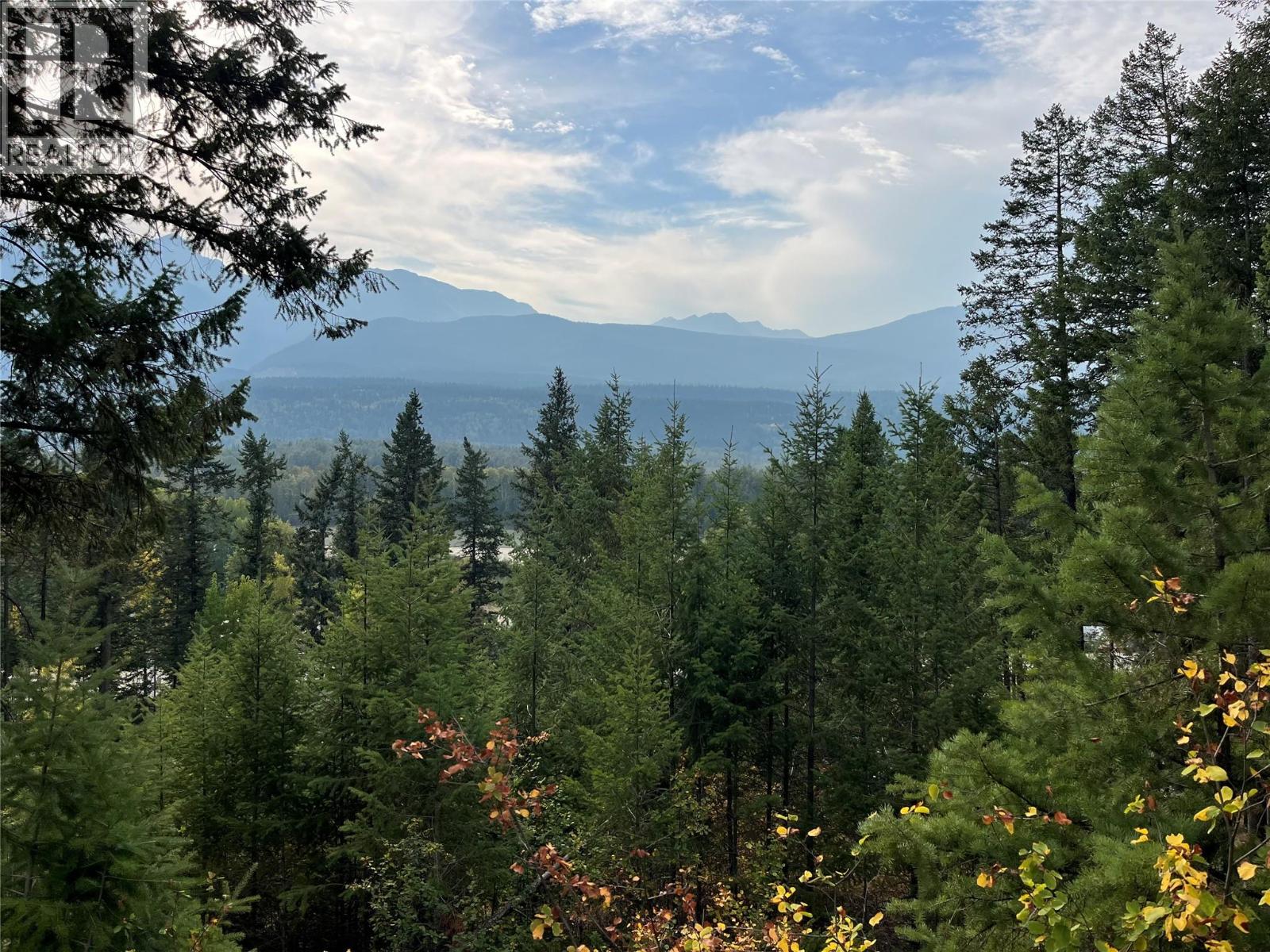 842 Almberg Road Unit# Remainder Lot# Lot, Golden, British Columbia  V0A 1H0 - Photo 9 - 10363605