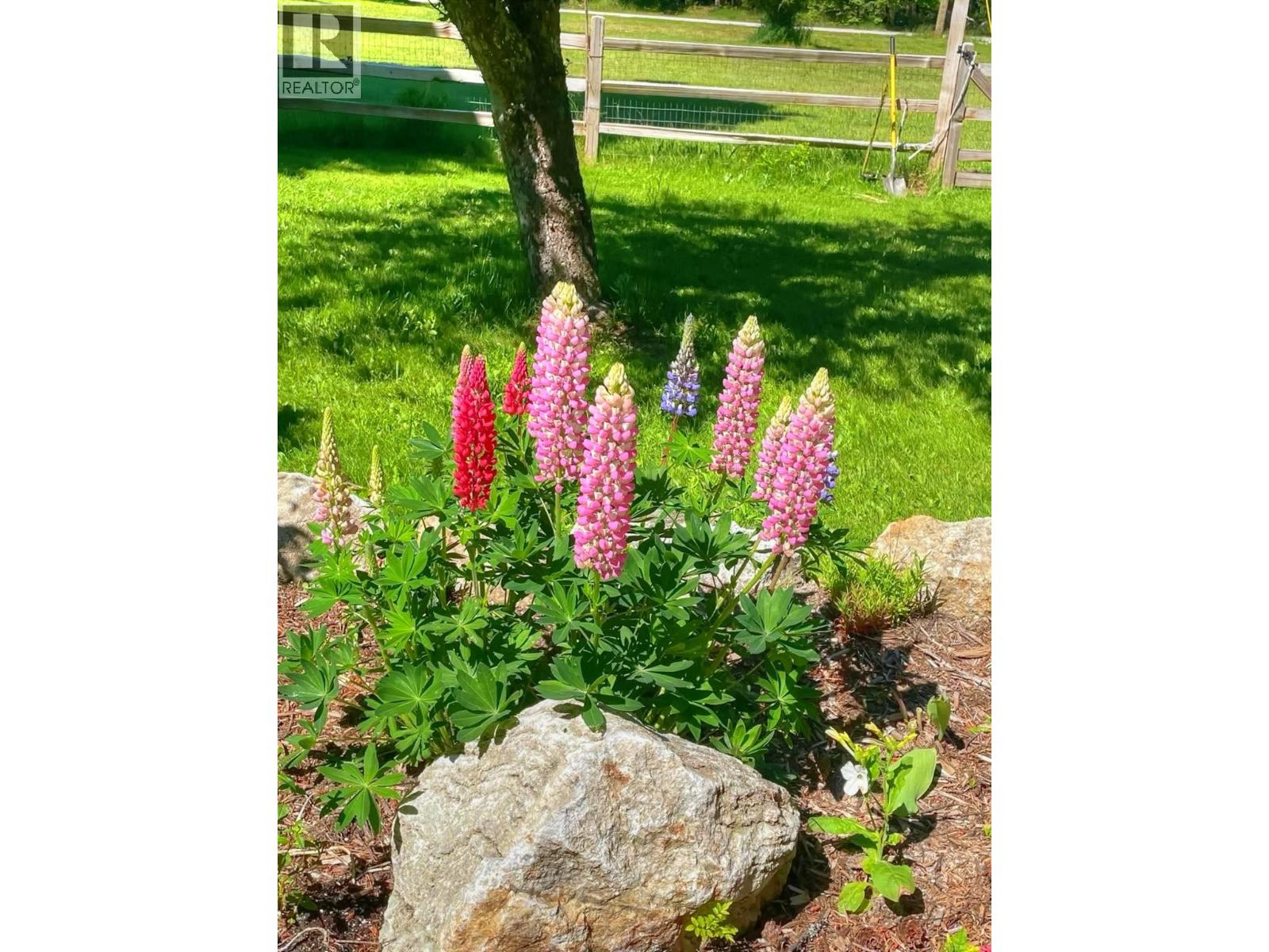 517 3a Avenue Nw, Nakusp, British Columbia  V0G 1R0 - Photo 18 - 10363595