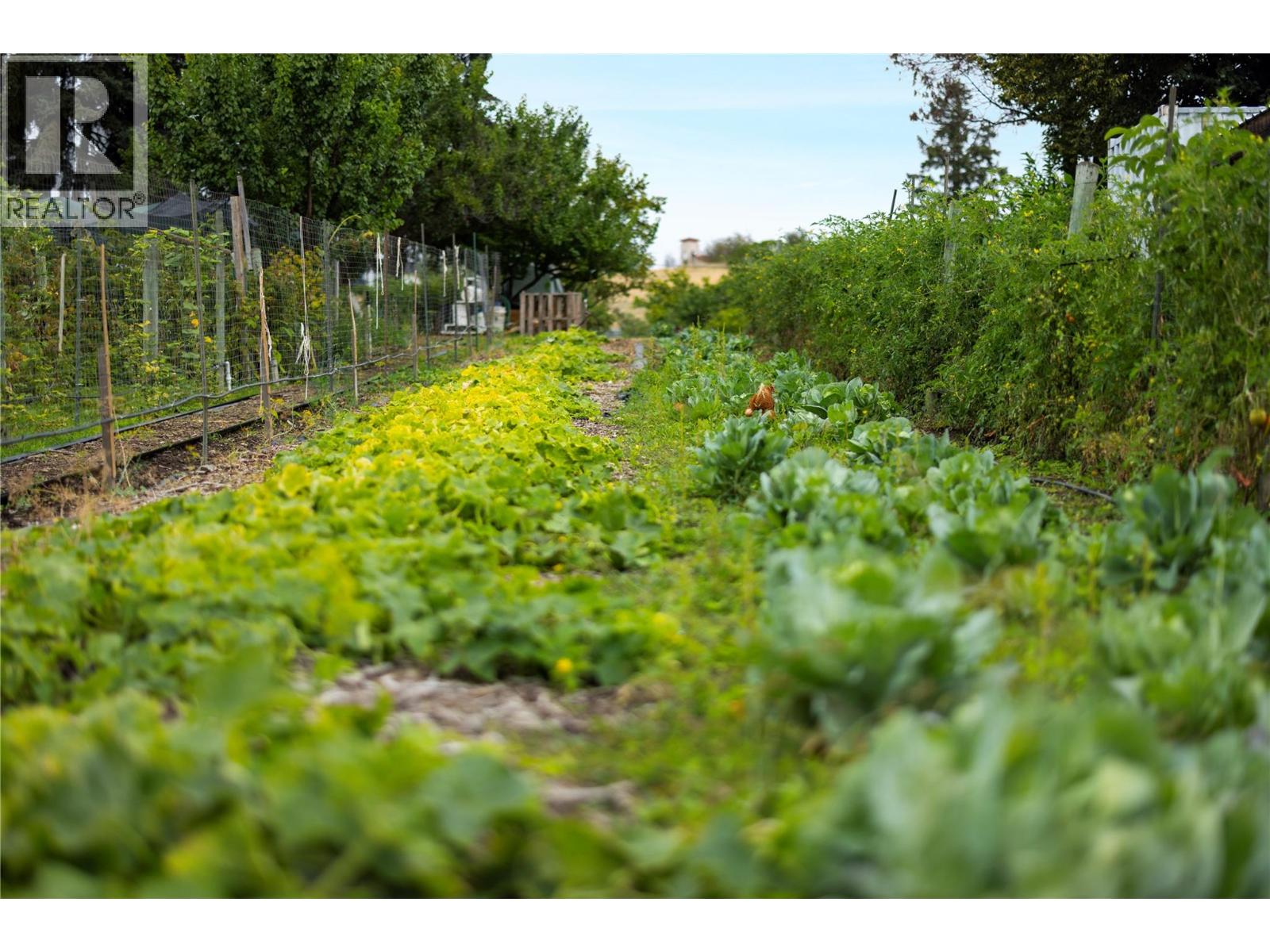 10108 Venables Drive, Coldstream, British Columbia  V1B 2J9 - Photo 33 - 10363642