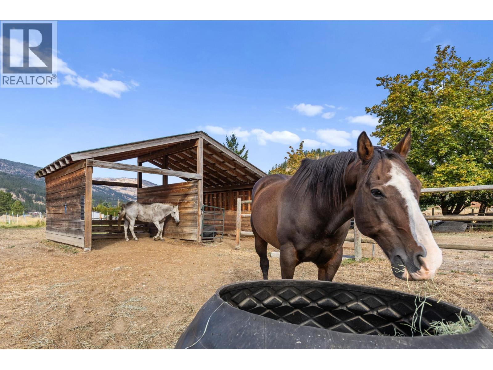 602 Johnson Crescent, Oliver, British Columbia  V0H 1T5 - Photo 58 - 10362840