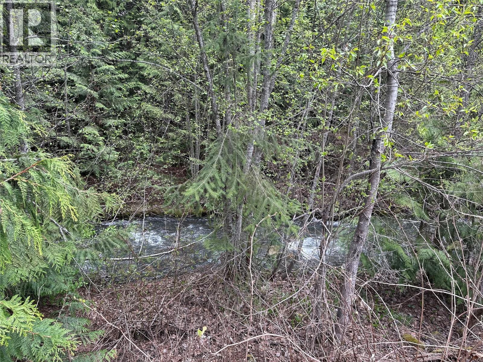 1440 Trinity Valley Road, Lumby, British Columbia  V0E 2G0 - Photo 42 - 10363723