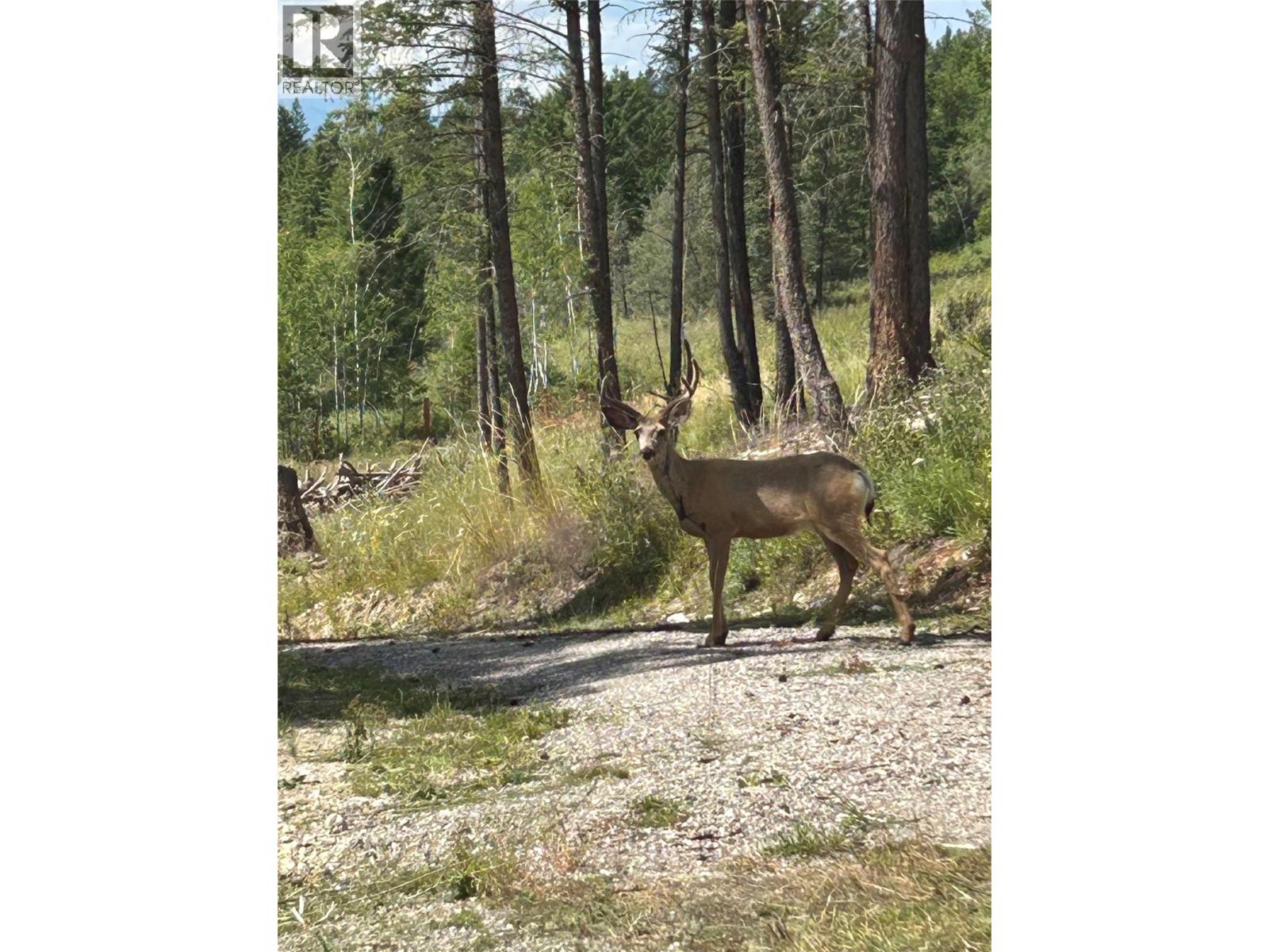 Csokony Road, Spur Valley, British Columbia  V0A 1E0 - Photo 1 - 10363805