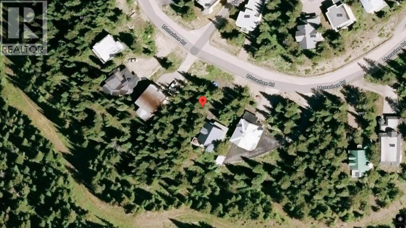 650 Monashee Road, Silver Star, British Columbia  V1B 3M1 - Photo 3 - 10363776