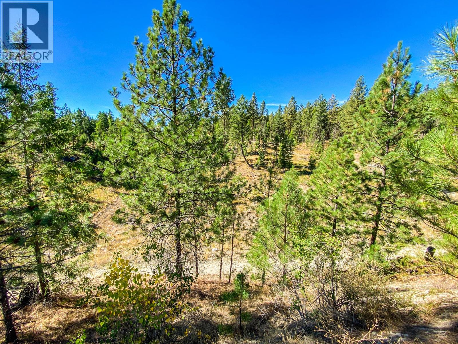 21 Nine Mile Place, Osoyoos, British Columbia  V0H 1V6 - Photo 10 - 10363705