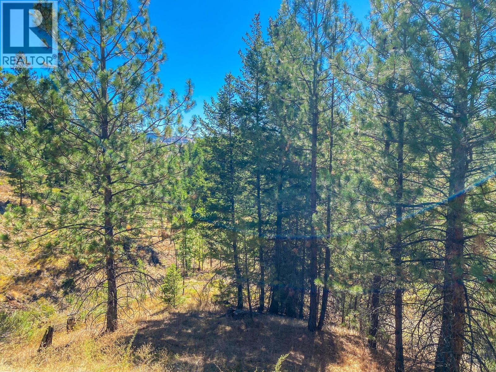 21 Nine Mile Place, Osoyoos, British Columbia  V0H 1V6 - Photo 11 - 10363705