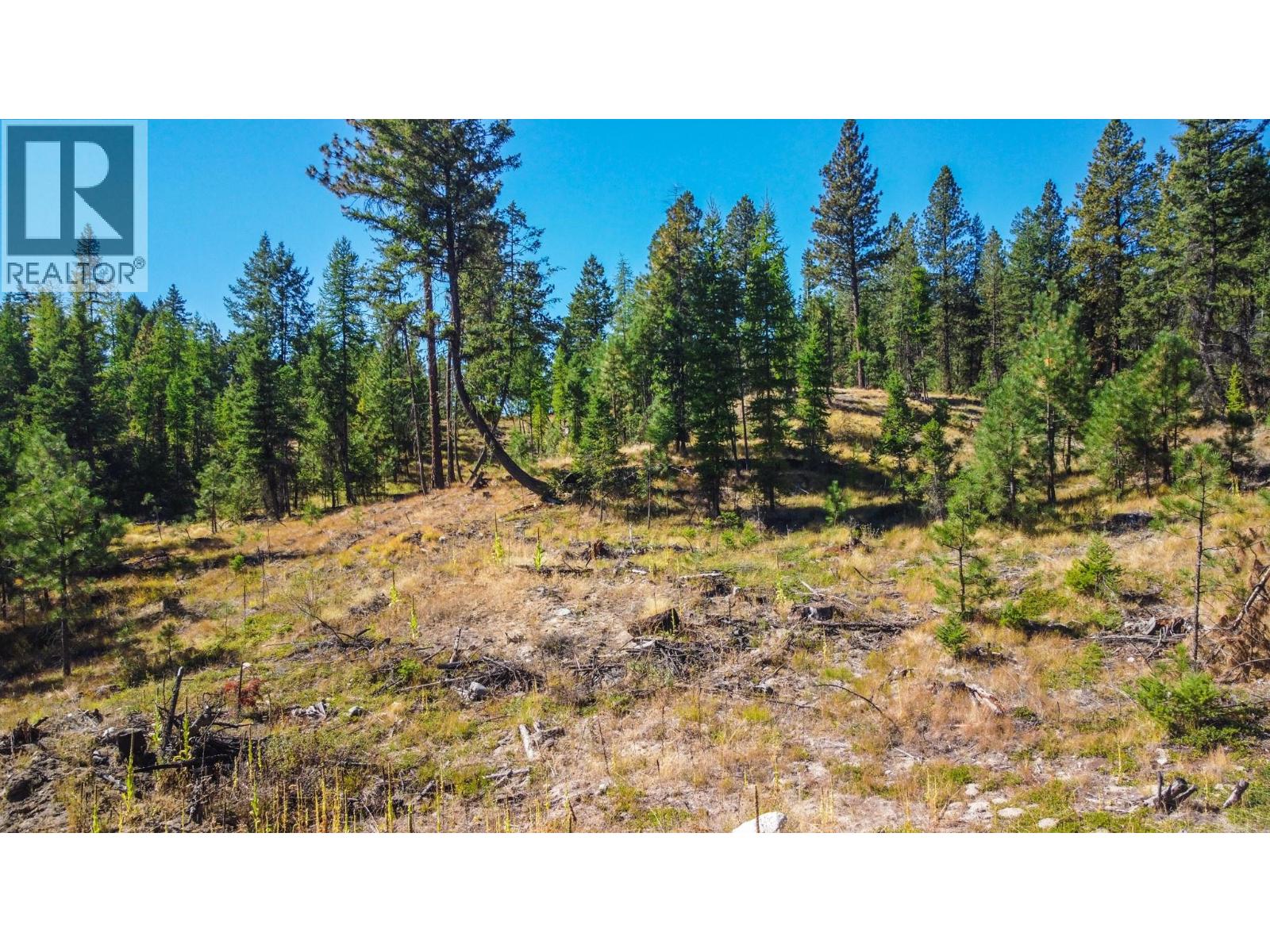 21 Nine Mile Place, Osoyoos, British Columbia  V0H 1V6 - Photo 14 - 10363705