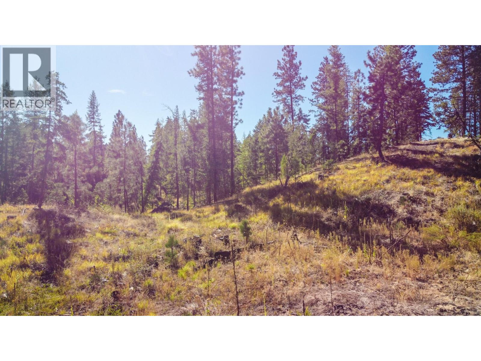 21 Nine Mile Place, Osoyoos, British Columbia  V0H 1V6 - Photo 15 - 10363705