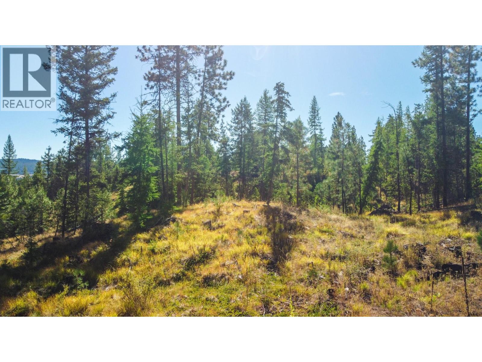 21 Nine Mile Place, Osoyoos, British Columbia  V0H 1V6 - Photo 16 - 10363705