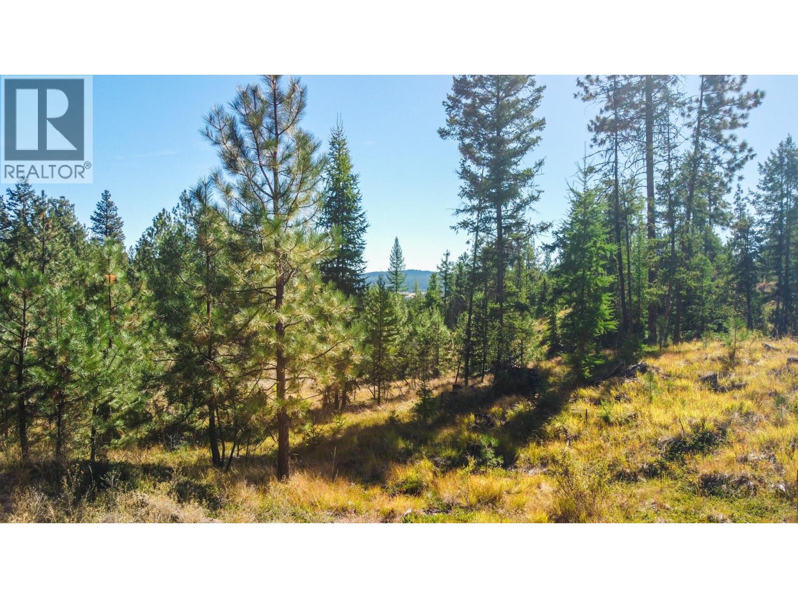 21 Nine Mile Place, Osoyoos, British Columbia  V0H 1V6 - Photo 17 - 10363705