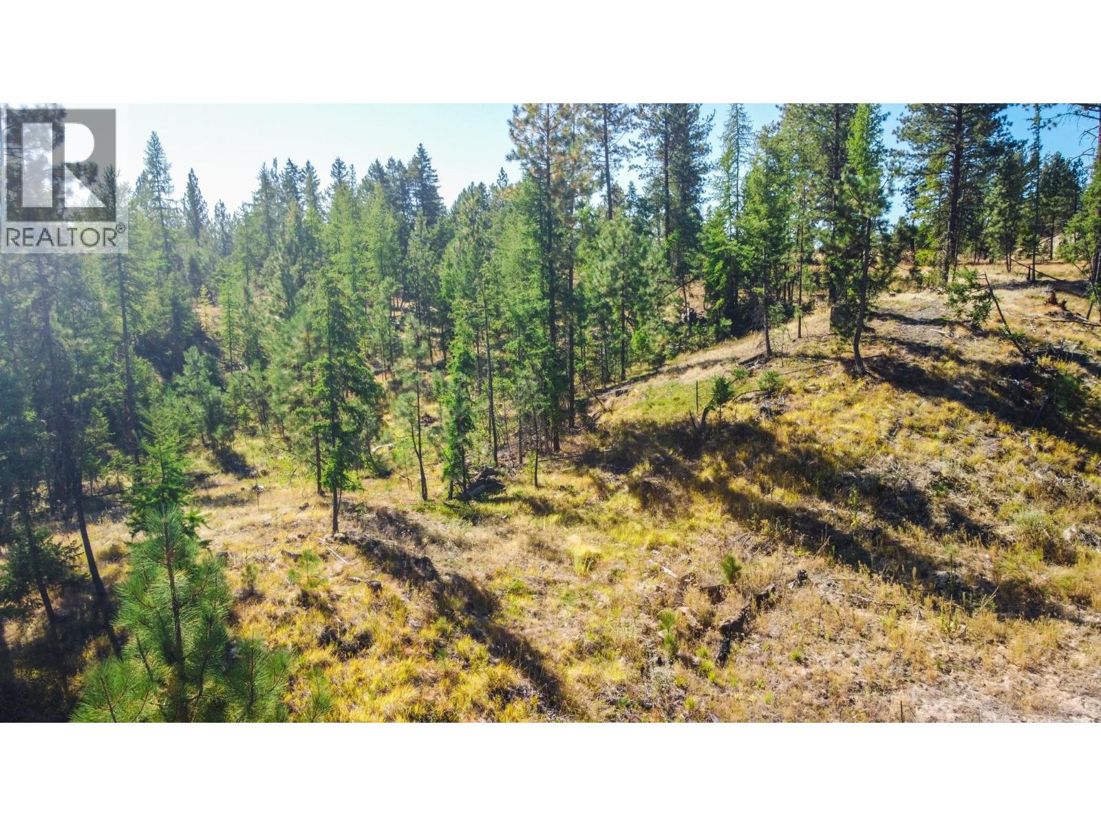 21 Nine Mile Place, Osoyoos, British Columbia  V0H 1V6 - Photo 20 - 10363705