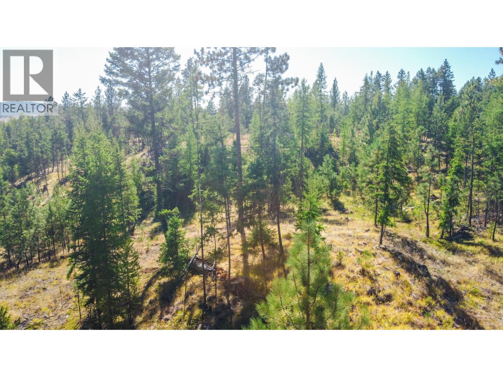 21 Nine Mile Place, Osoyoos, British Columbia  V0H 1V6 - Photo 21 - 10363705