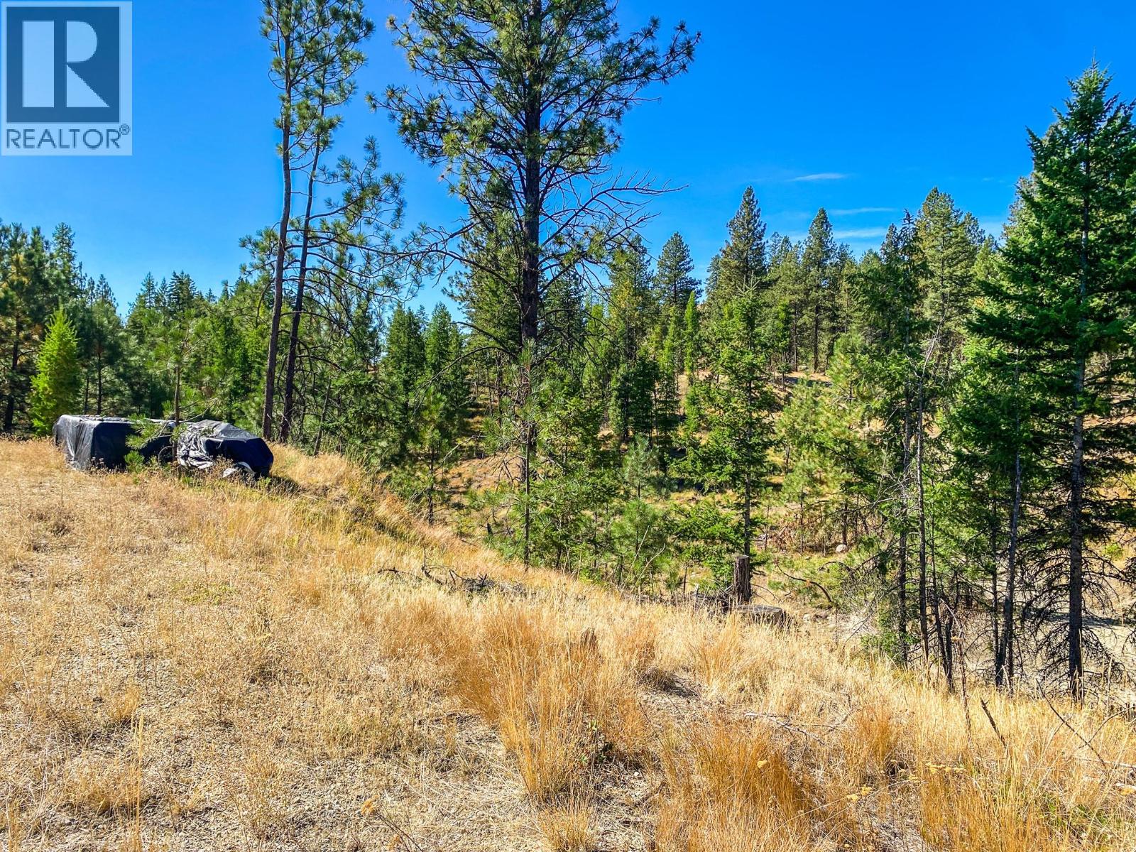 21 Nine Mile Place, Osoyoos, British Columbia  V0H 1V6 - Photo 8 - 10363705