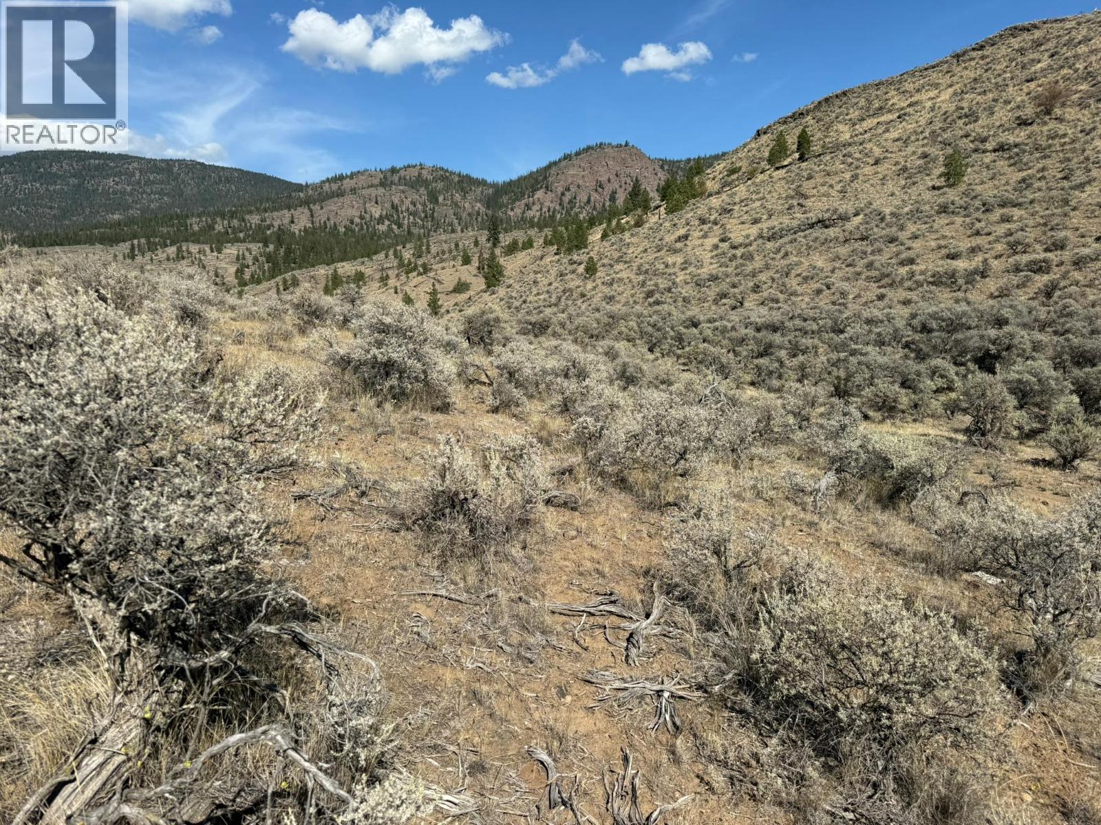 Ne 1/4 Ashcroft Road, Cache Creek, British Columbia  V0K 1H0 - Photo 15 - 10363949