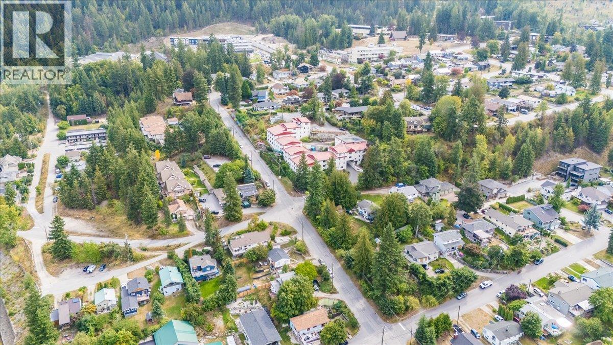 1007 Gordon Street, Nelson, British Columbia  V1L 0A1 - Photo 7 - 10363818