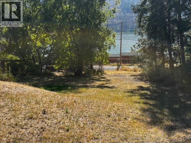 2424 Loon Lake Road, Loon Lake, British Columbia  V0K 1H1 - Photo 11 - 10364127