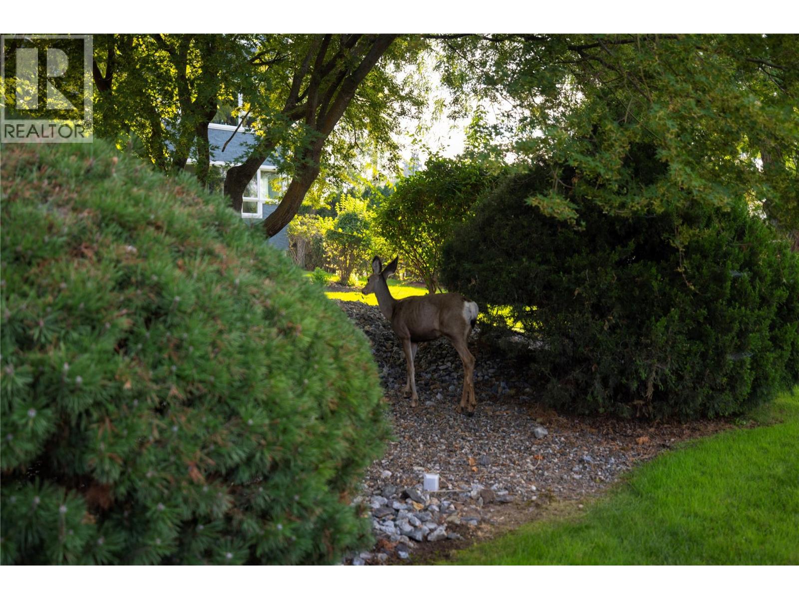 1045 Sutherland Avenue Unit# 115b, Kelowna, British Columbia  V1Y 5Y1 - Photo 19 - 10364051