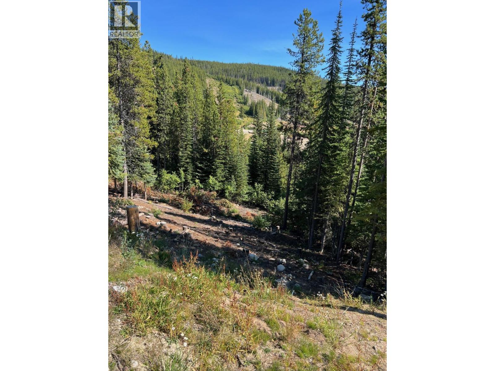Wapiti Creek Road Lot# 122, Oliver, British Columbia  V0H 1T8 - Photo 4 - 10364161