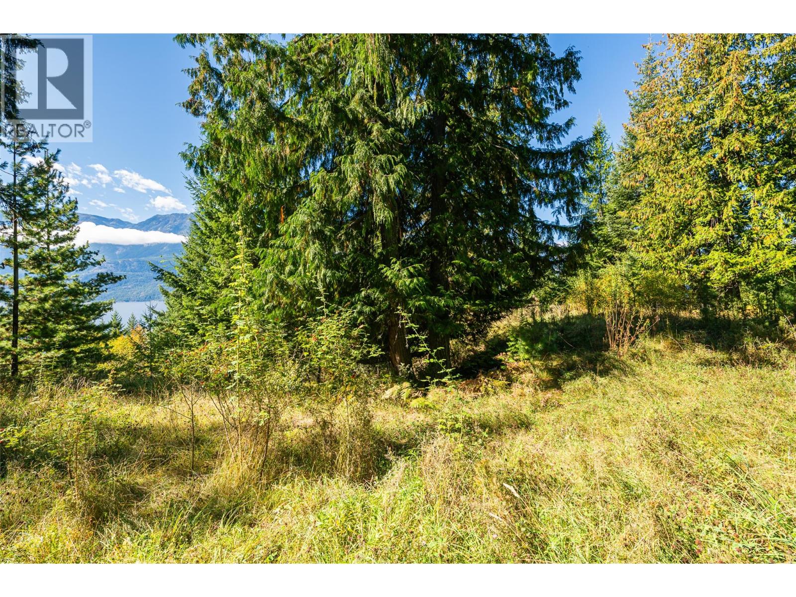 13625 & 13631 Mountain Shores Road, Boswell, British Columbia  V0B 1A0 - Photo 13 - 10364143