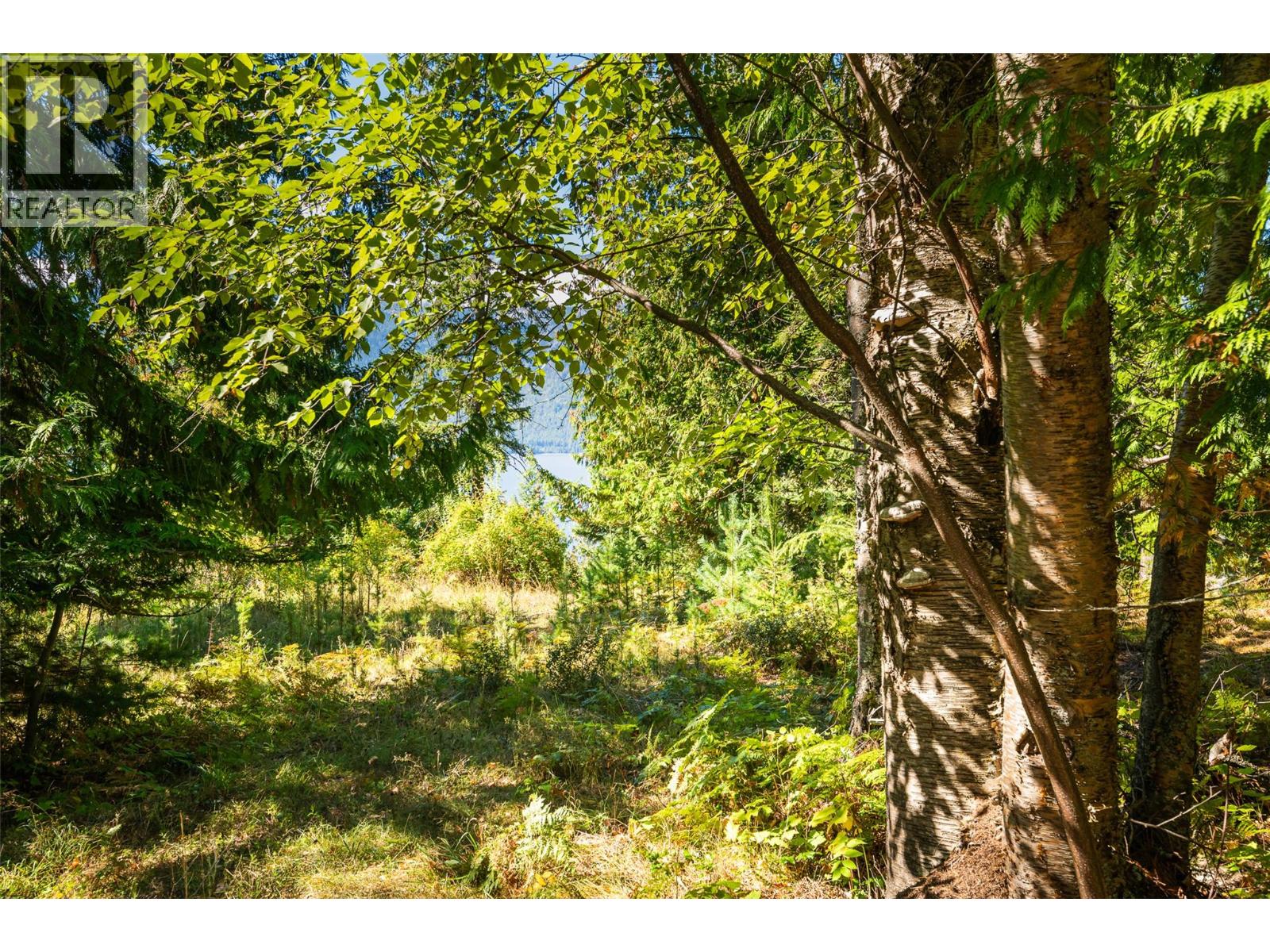 13625 & 13631 Mountain Shores Road, Boswell, British Columbia  V0B 1A0 - Photo 21 - 10364143