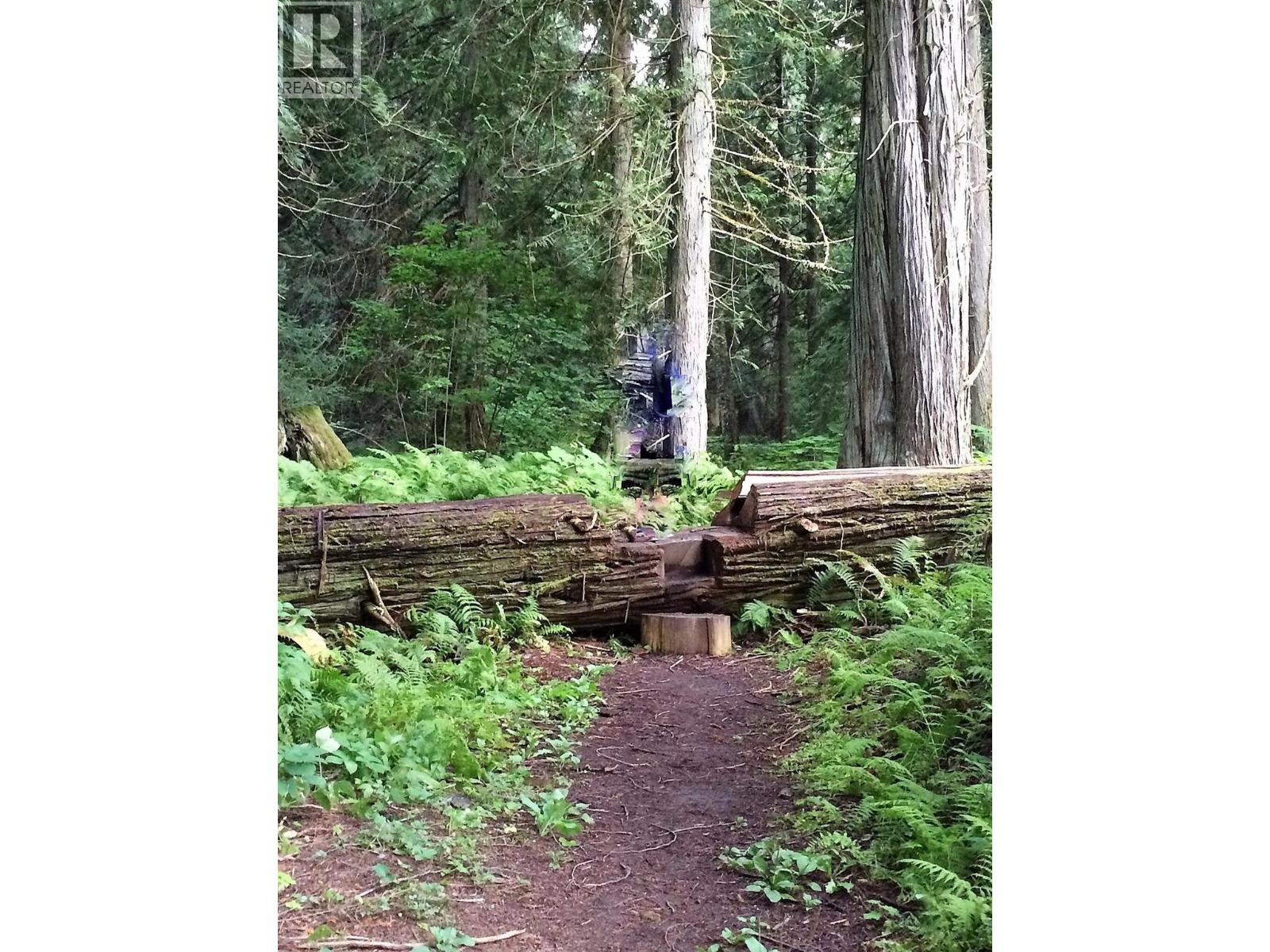 34199 Luoma Road Unit# 153, Malakwa, British Columbia  V0E 2J0 - Photo 89 - 10364321