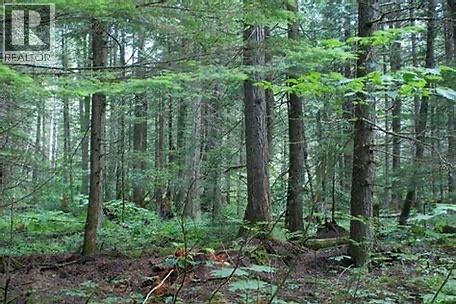 34199 Luoma Road Unit# 153, Malakwa, British Columbia  V0E 2J0 - Photo 90 - 10364321