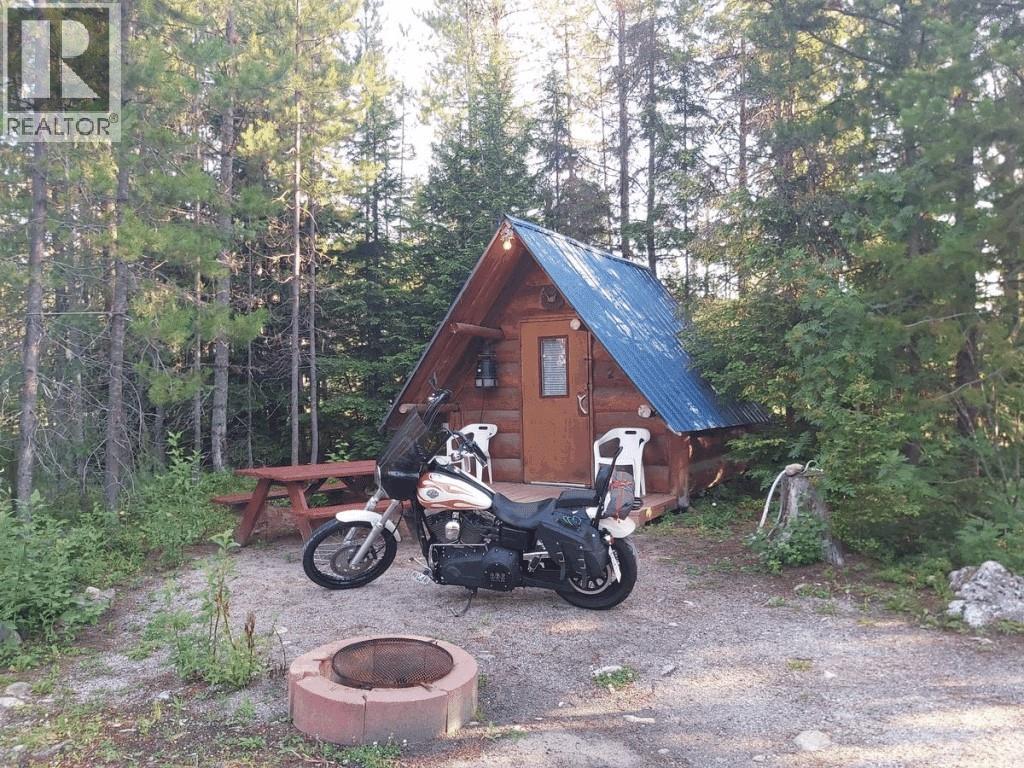 991 West Frontage Road, Blue River, British Columbia  V0E 1J0 - Photo 19 - 10364275