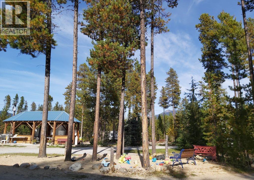 991 West Frontage Road, Blue River, British Columbia  V0E 1J0 - Photo 4 - 10364275