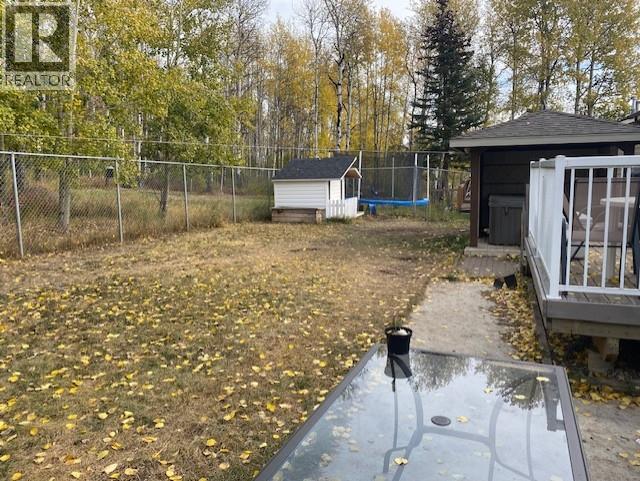 5404 Hillside Avenue, Chetwynd, British Columbia  V0C 1J0 - Photo 3 - 10364388