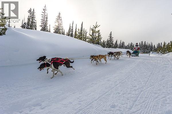 Lot 2 Black Forest Road Lot# 2, Big White, British Columbia  V1P 1P3 - Photo 5 - 10363602