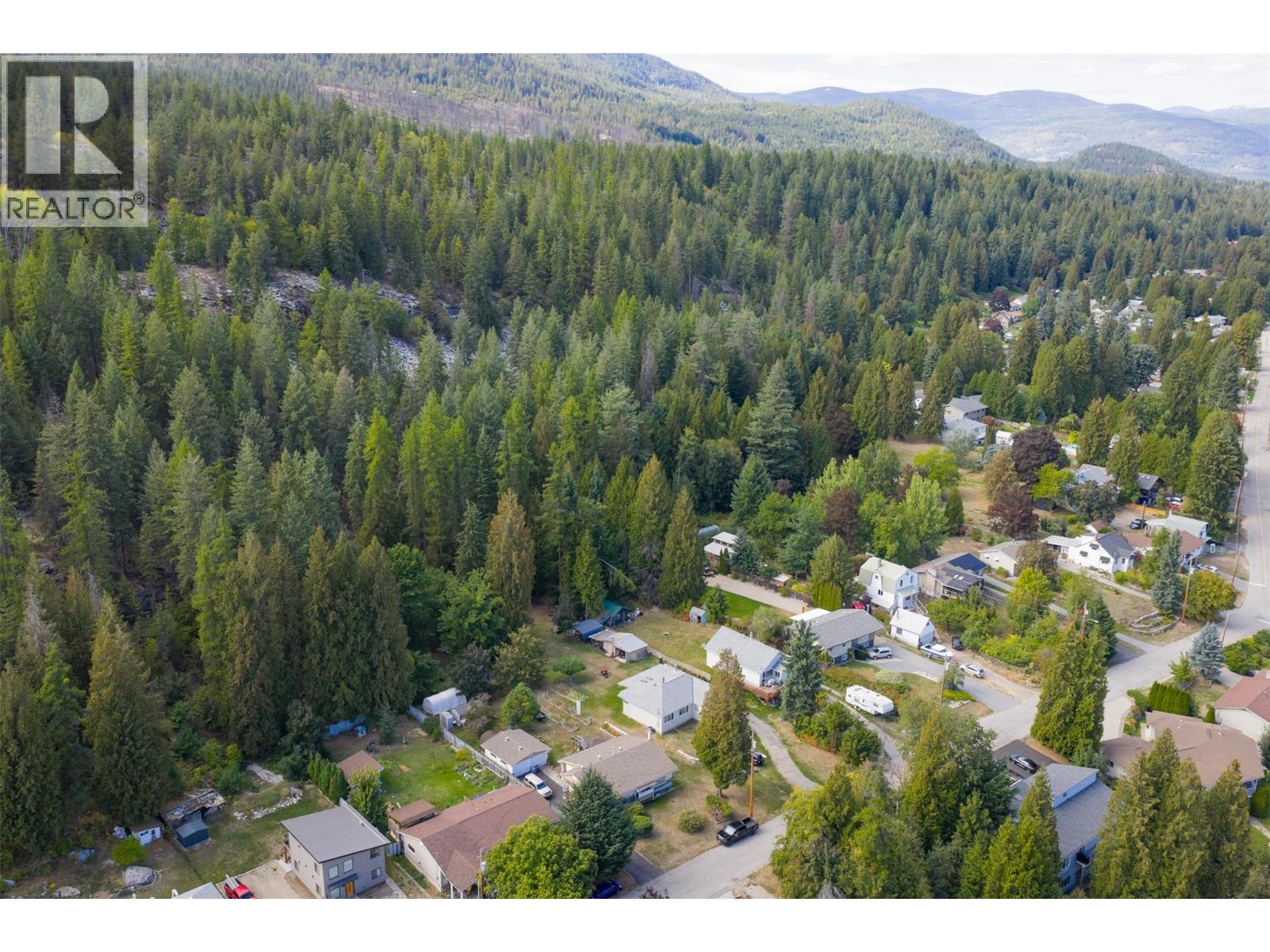 2828 9th Avenue, Castlegar, British Columbia  V1N 2Z1 - Photo 62 - 10364371