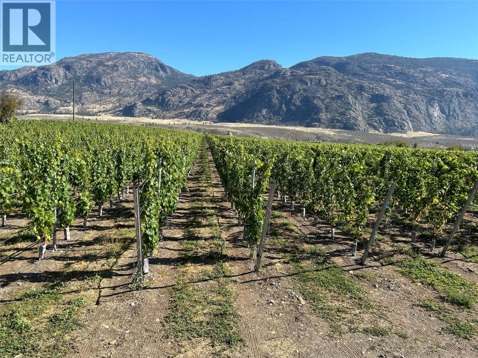 9425 87th Street, Osoyoos, British Columbia  V0H 1V0 - Photo 5 - 10364446