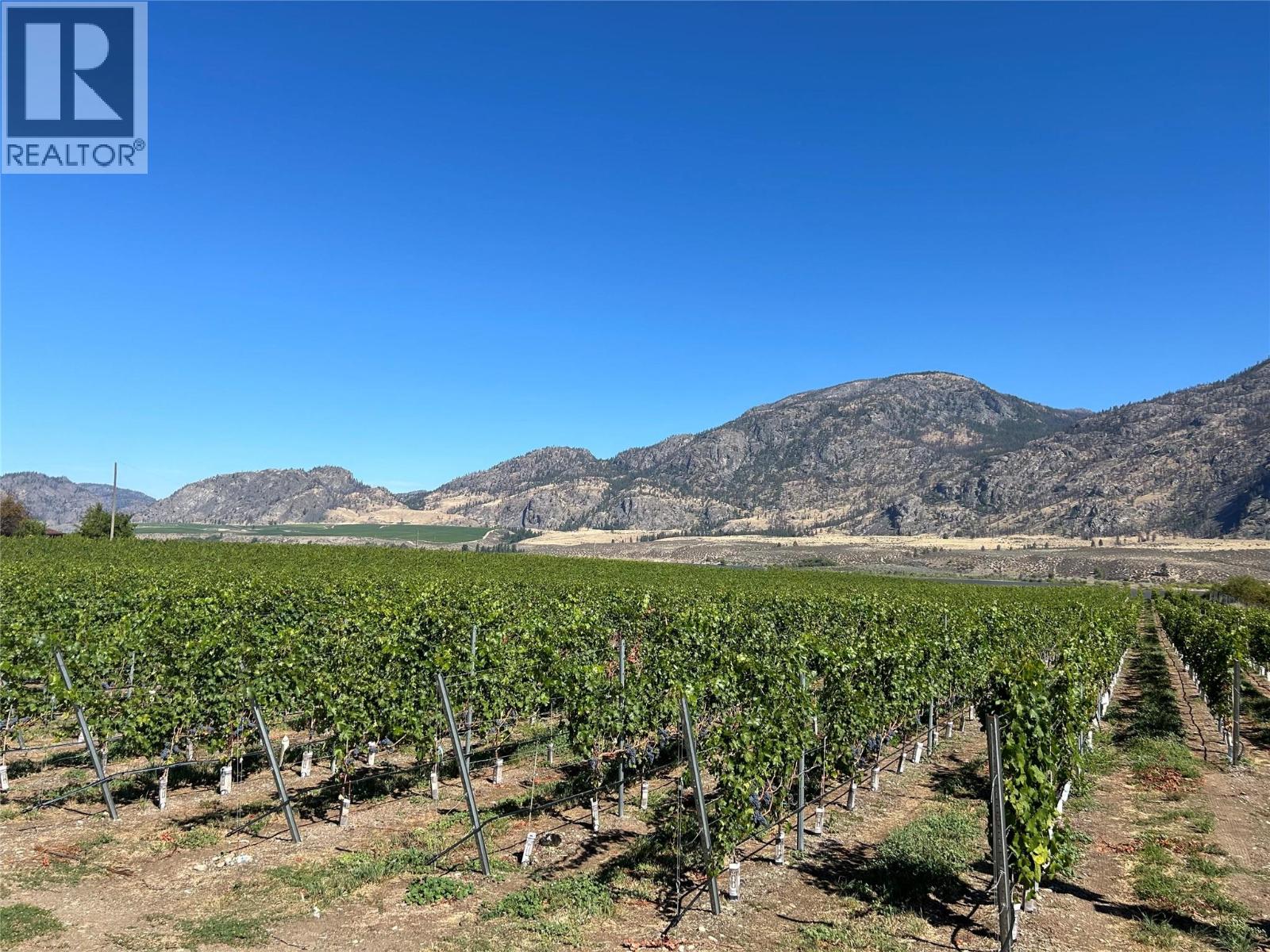 9425 87th Street, Osoyoos, British Columbia  V0H 1V0 - Photo 7 - 10364446