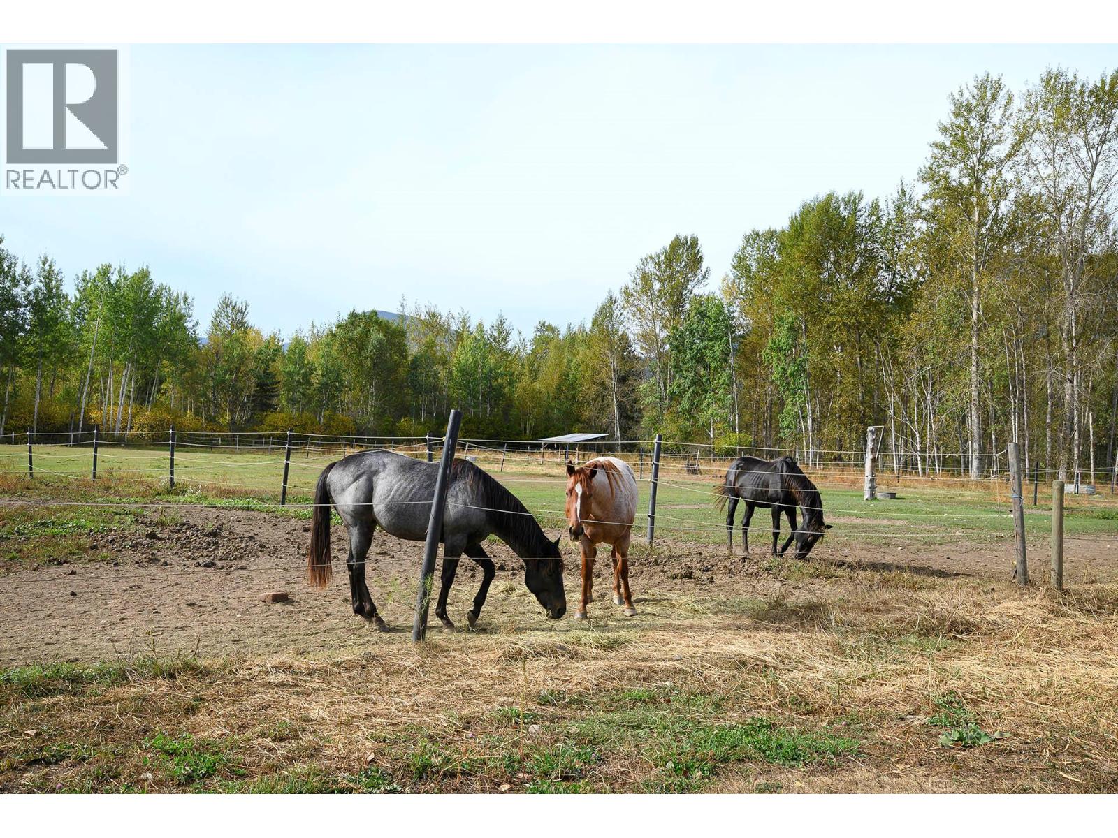 2804 Auldgirth Road, Clearwater, British Columbia  V0E 1N0 - Photo 49 - 10364654