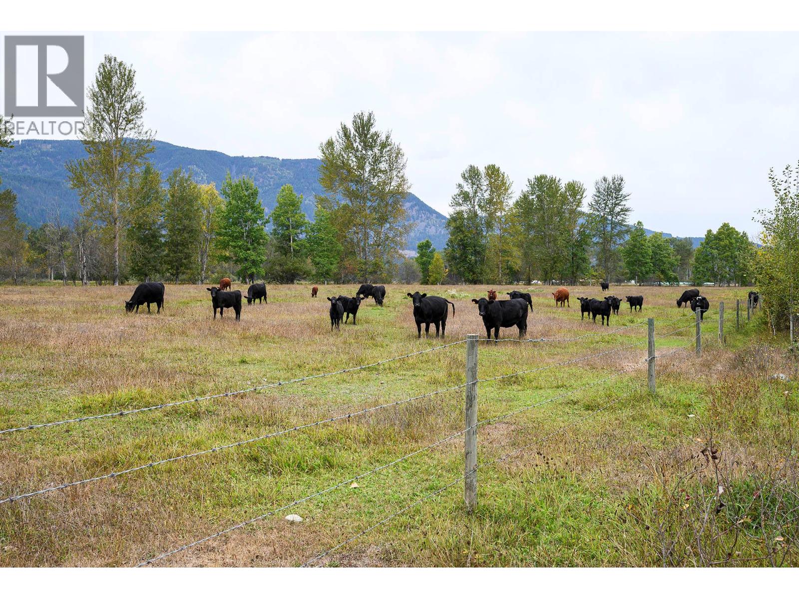 2804 Auldgirth Road, Clearwater, British Columbia  V0E 1N0 - Photo 51 - 10364654