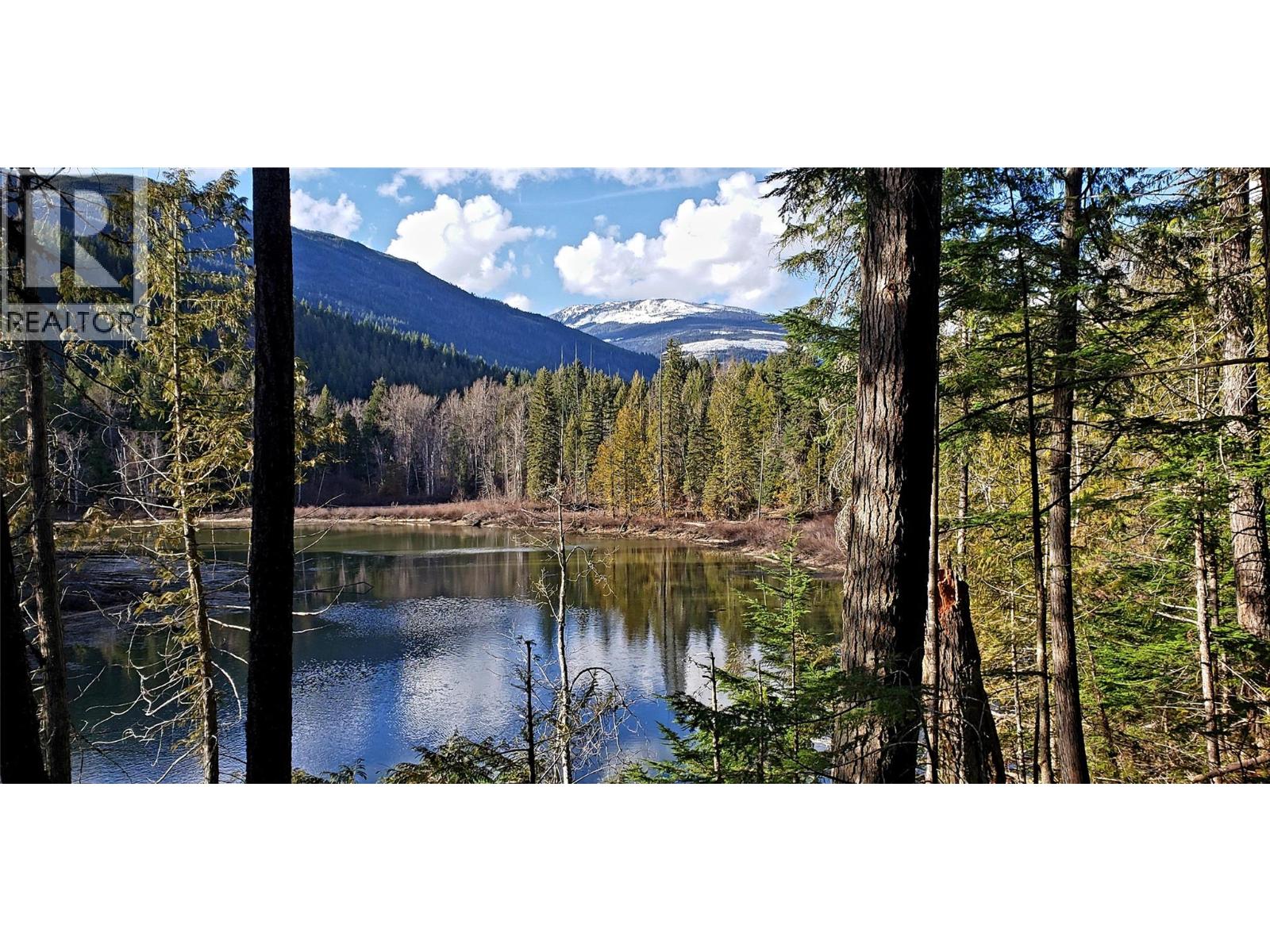 3499 Luoma Road Lot# 189, Malakwa, British Columbia  V0E 2J0 - Photo 12 - 10364703