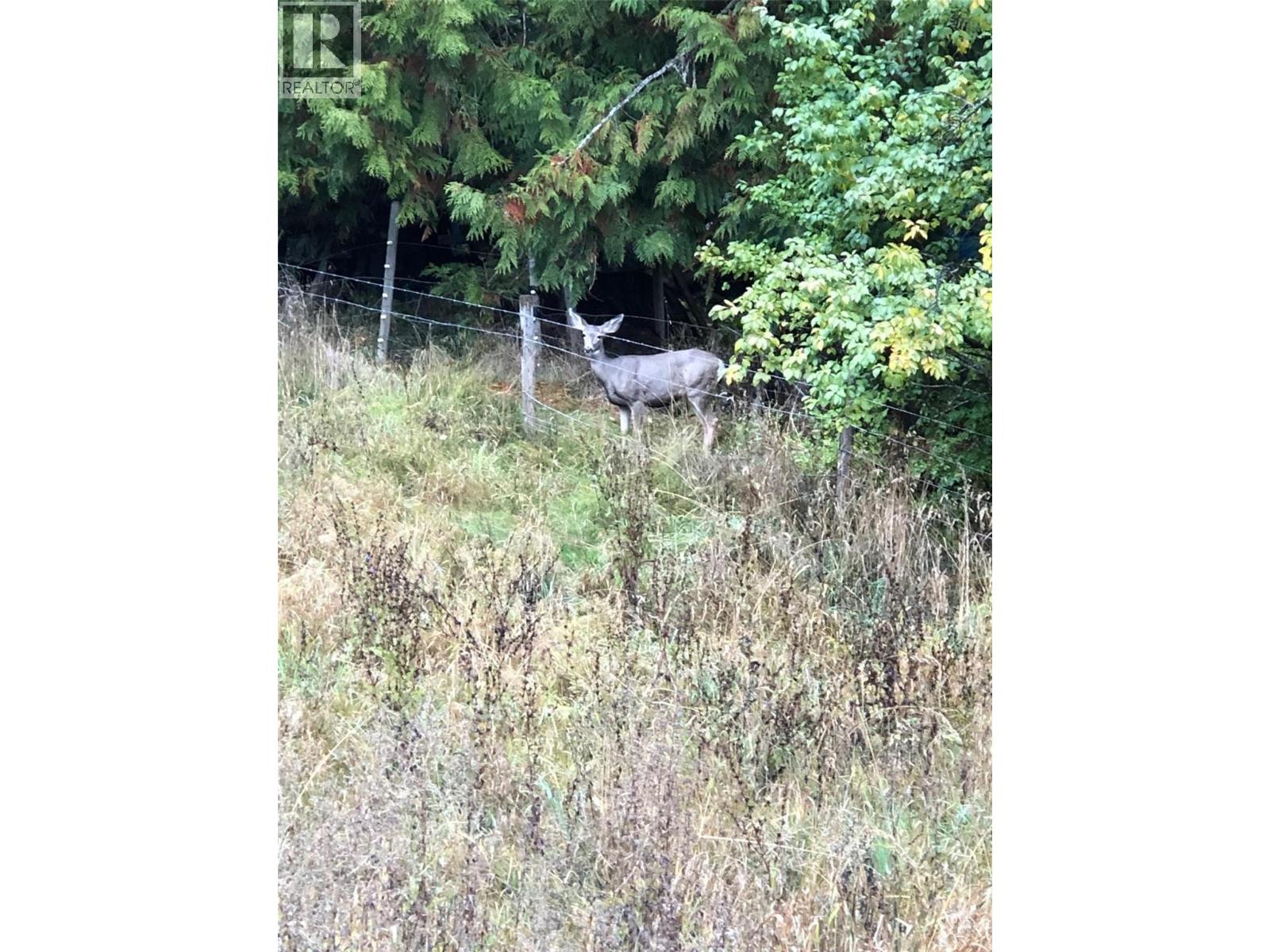 31 Violet Road, Grindrod, British Columbia  V0E 1Y0 - Photo 52 - 10364704