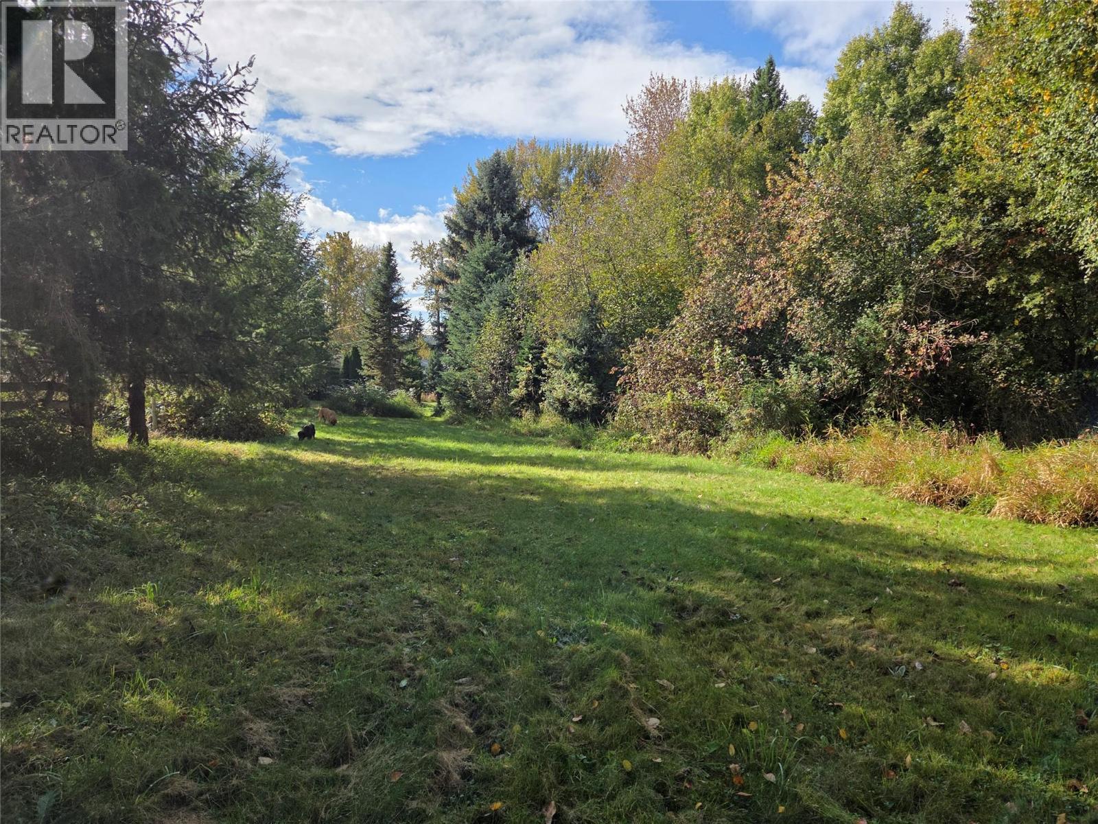 26 Barnes Road, Lumby, British Columbia  V0E 2G7 - Photo 22 - 10364604