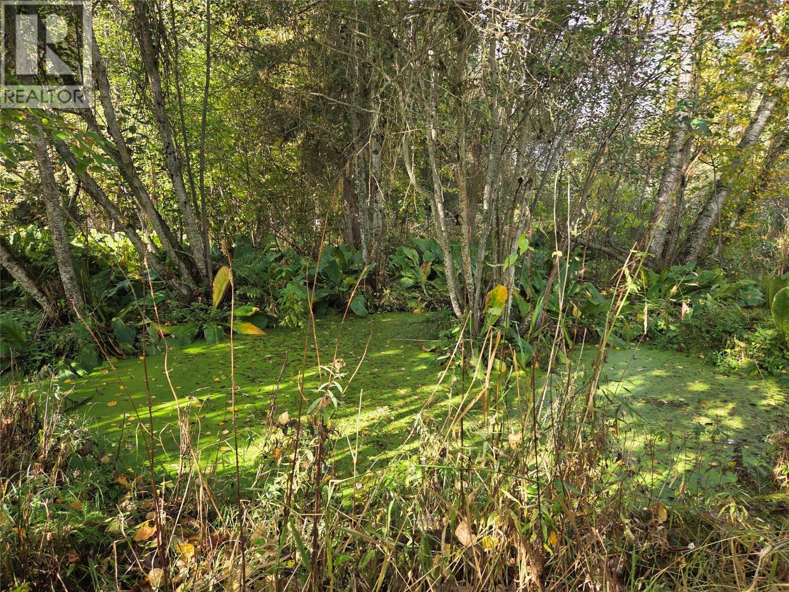 26 Barnes Road, Lumby, British Columbia  V0E 2G7 - Photo 23 - 10364604