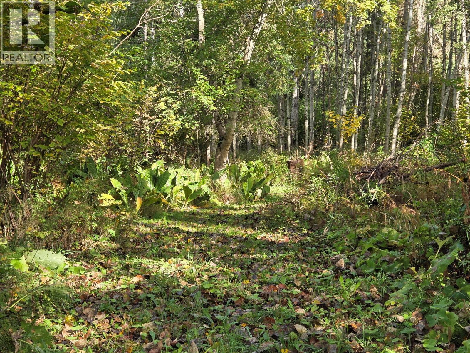 26 Barnes Road, Lumby, British Columbia  V0E 2G7 - Photo 24 - 10364604